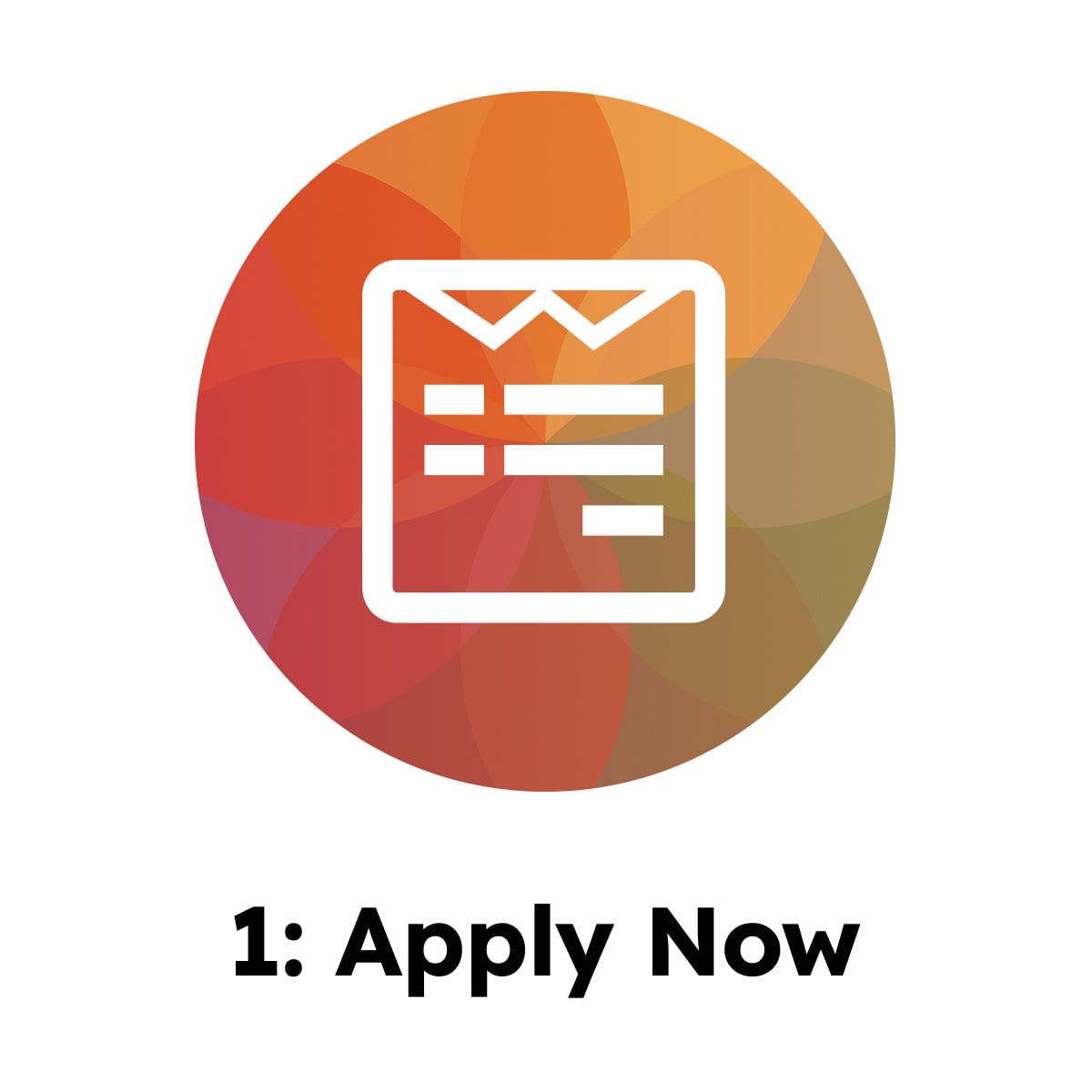 Application Process 1